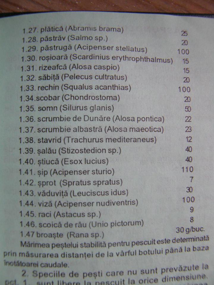 dimensiuni legale pesti 3.jpg