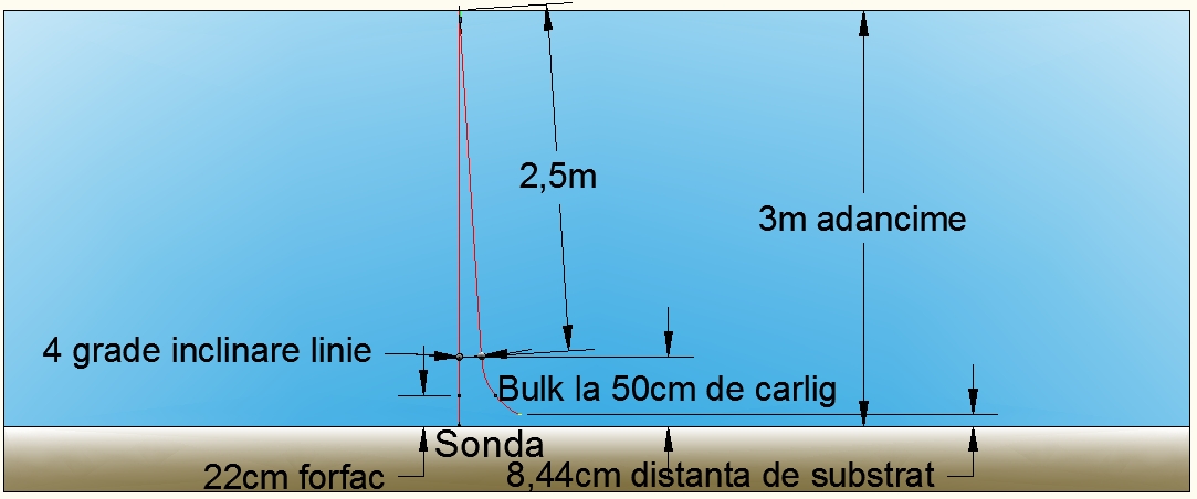 Linie3.jpg